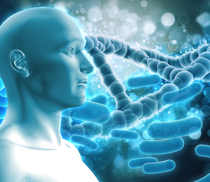 NK immune cells represented by DNA and the human body