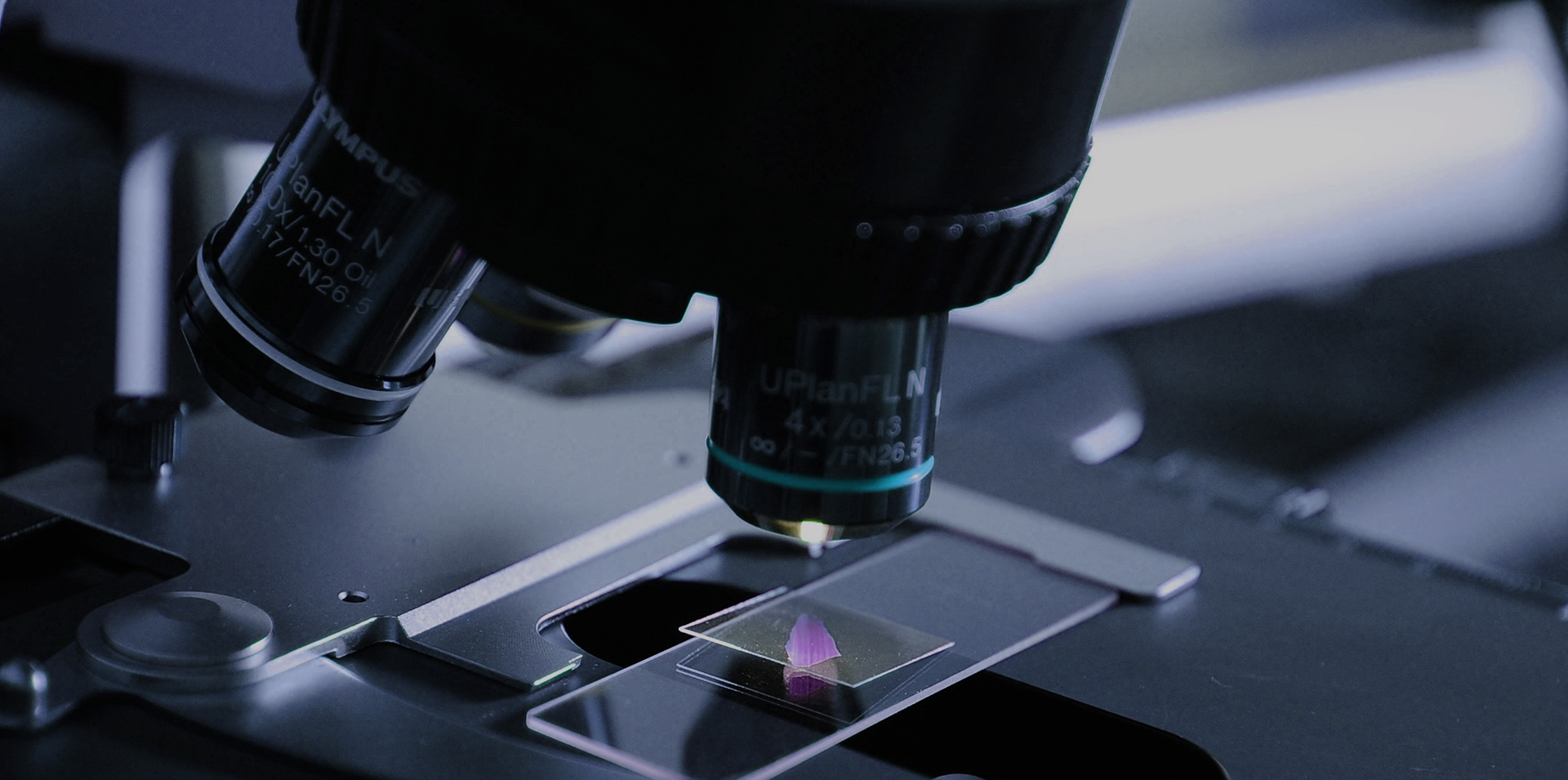 Biological cell research through a microscope